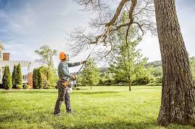 Best Tree Health Inspection  in Lancaster, SC